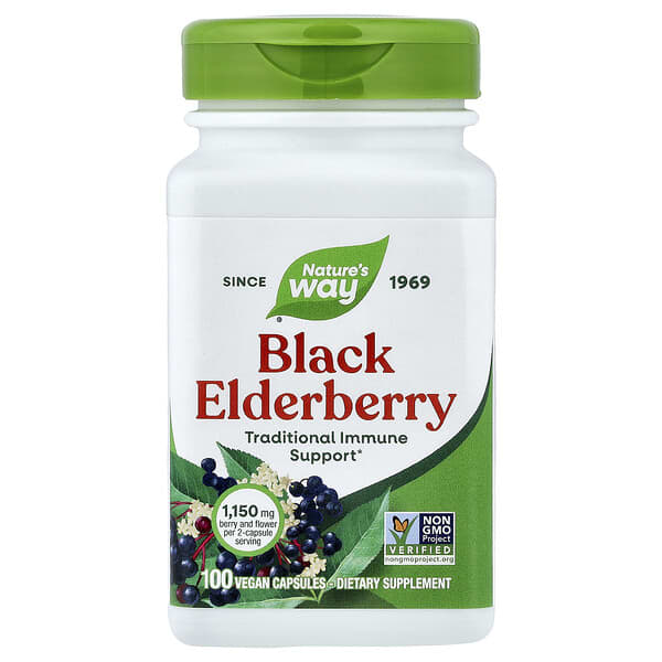 Black Elderberry