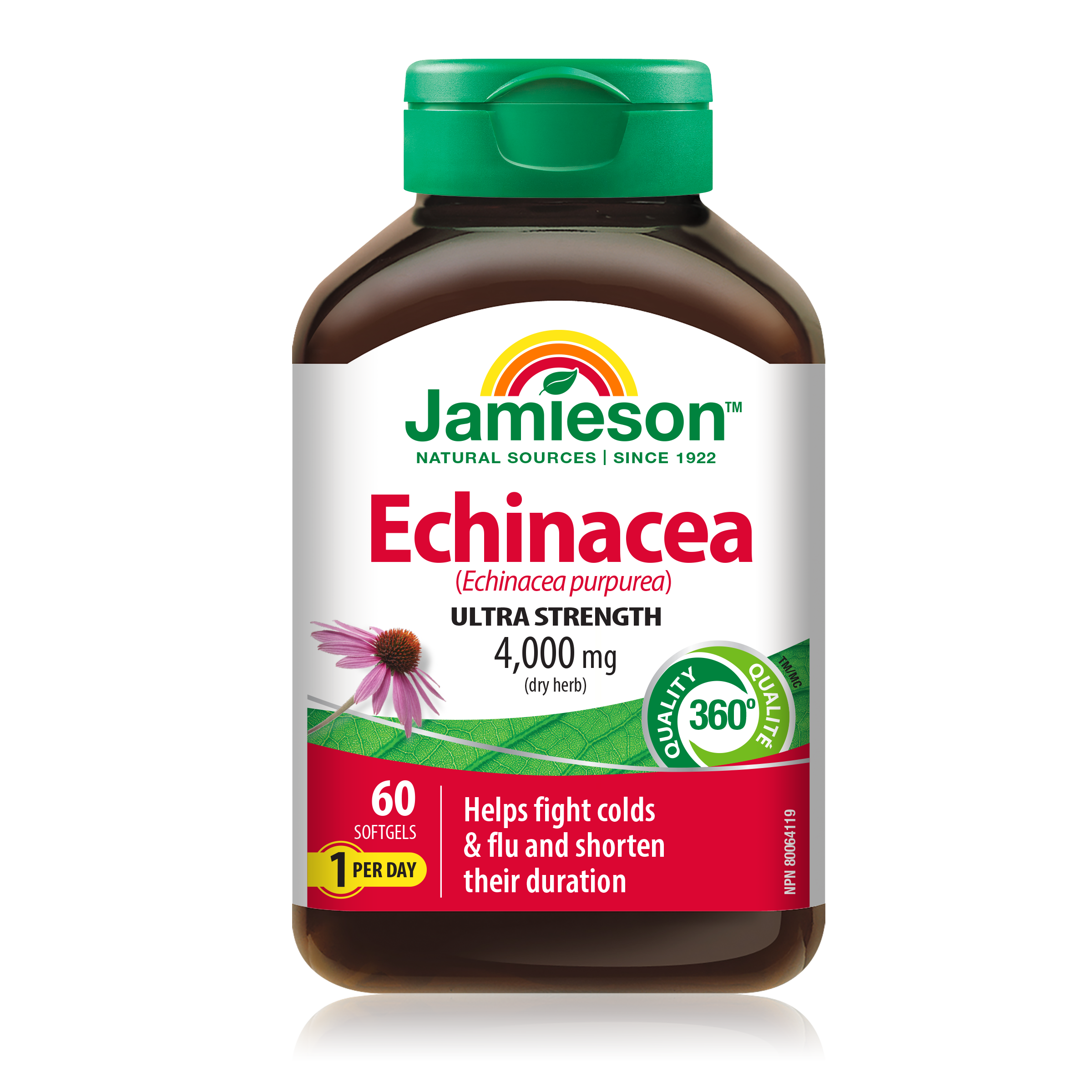 Echinacea 4,000 mg | Softgels