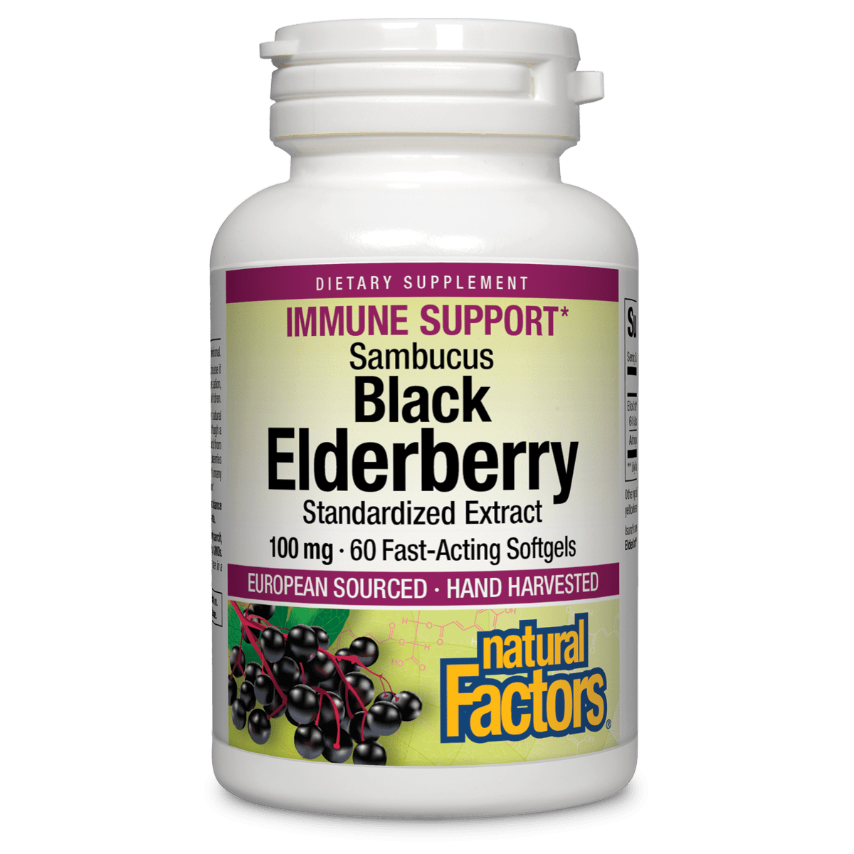 Sambucus Black Elderberry 100 mg