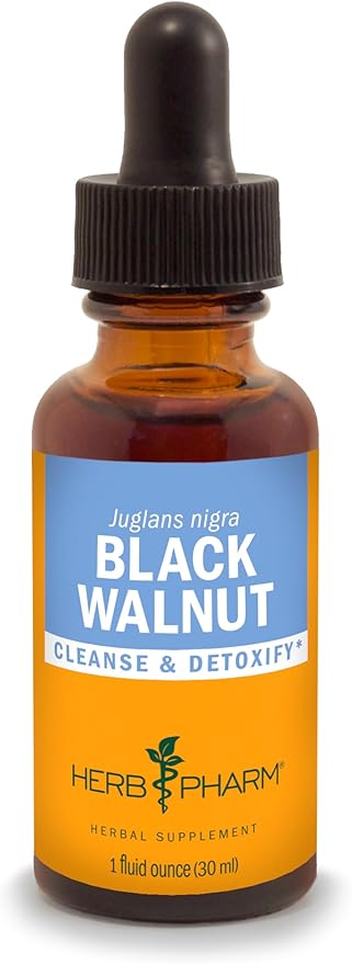 Black Walnut
