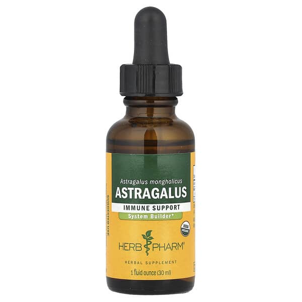 Astragalus