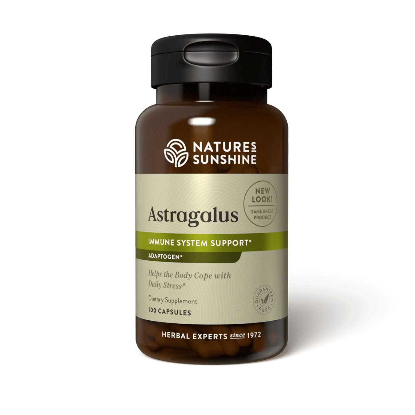 Astragalus