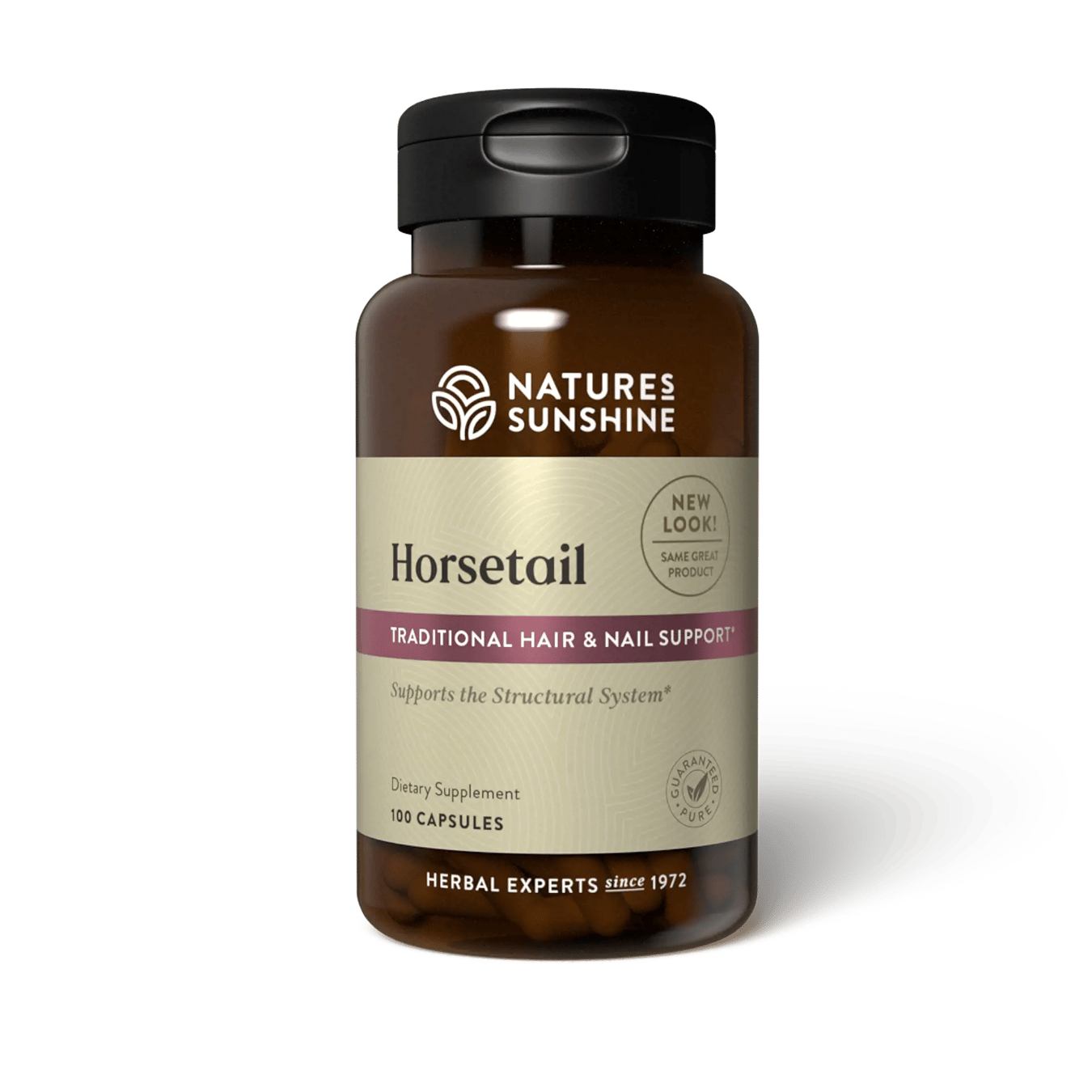 Horsetail
