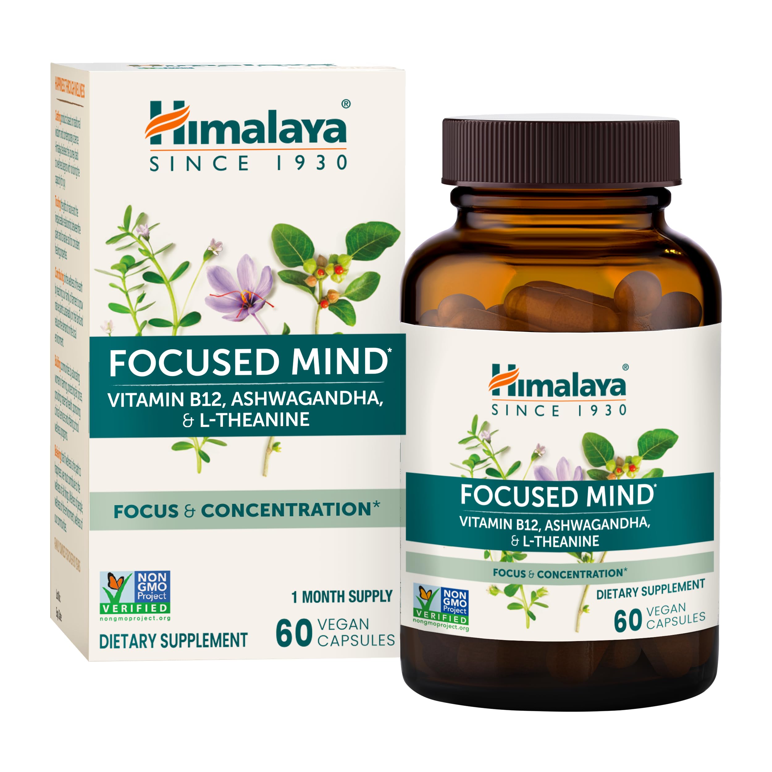 Focused Mind