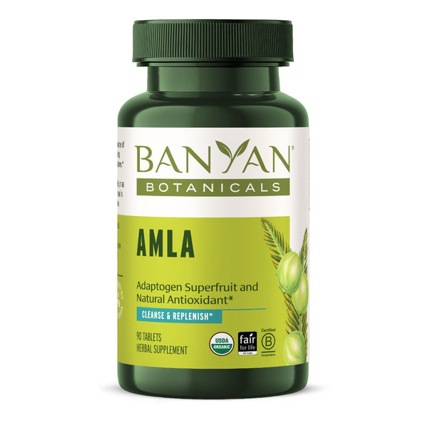 Amla Amalaki