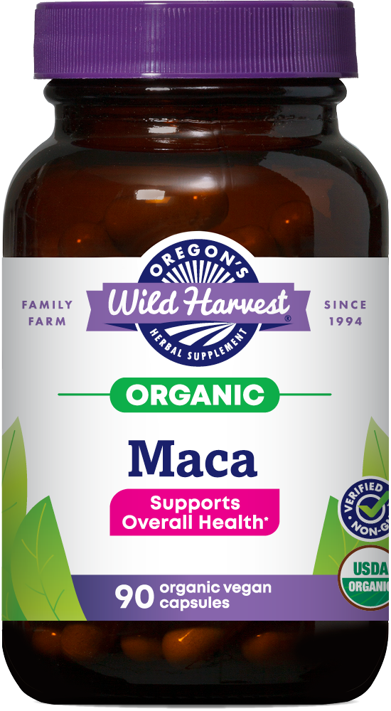 Maca