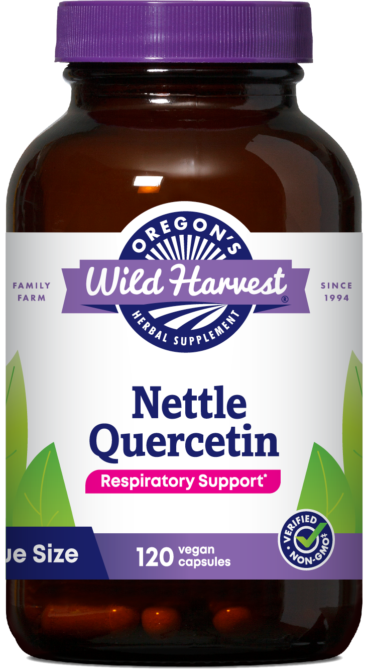 Nettle Quercetin