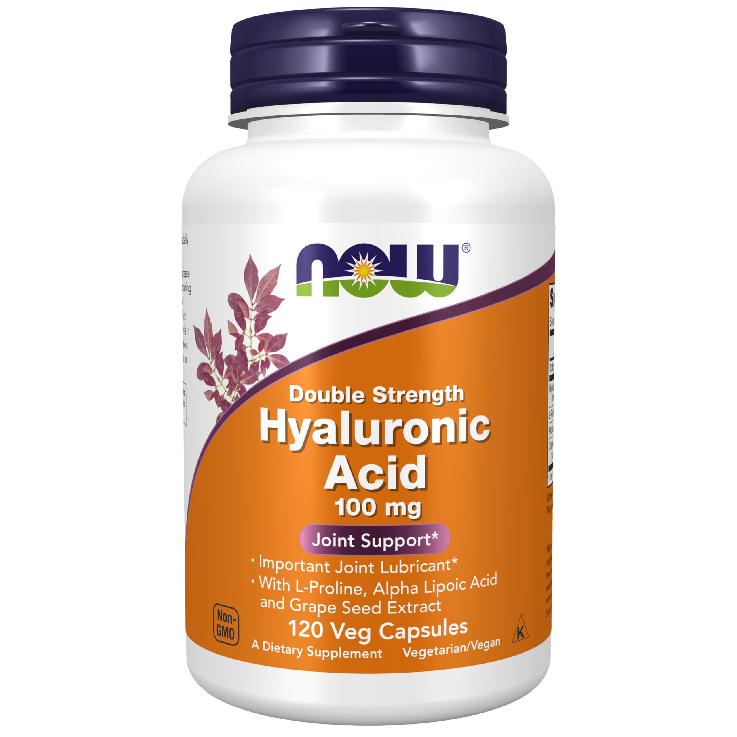 Double Strength Hyaluronic Acid 100 mg