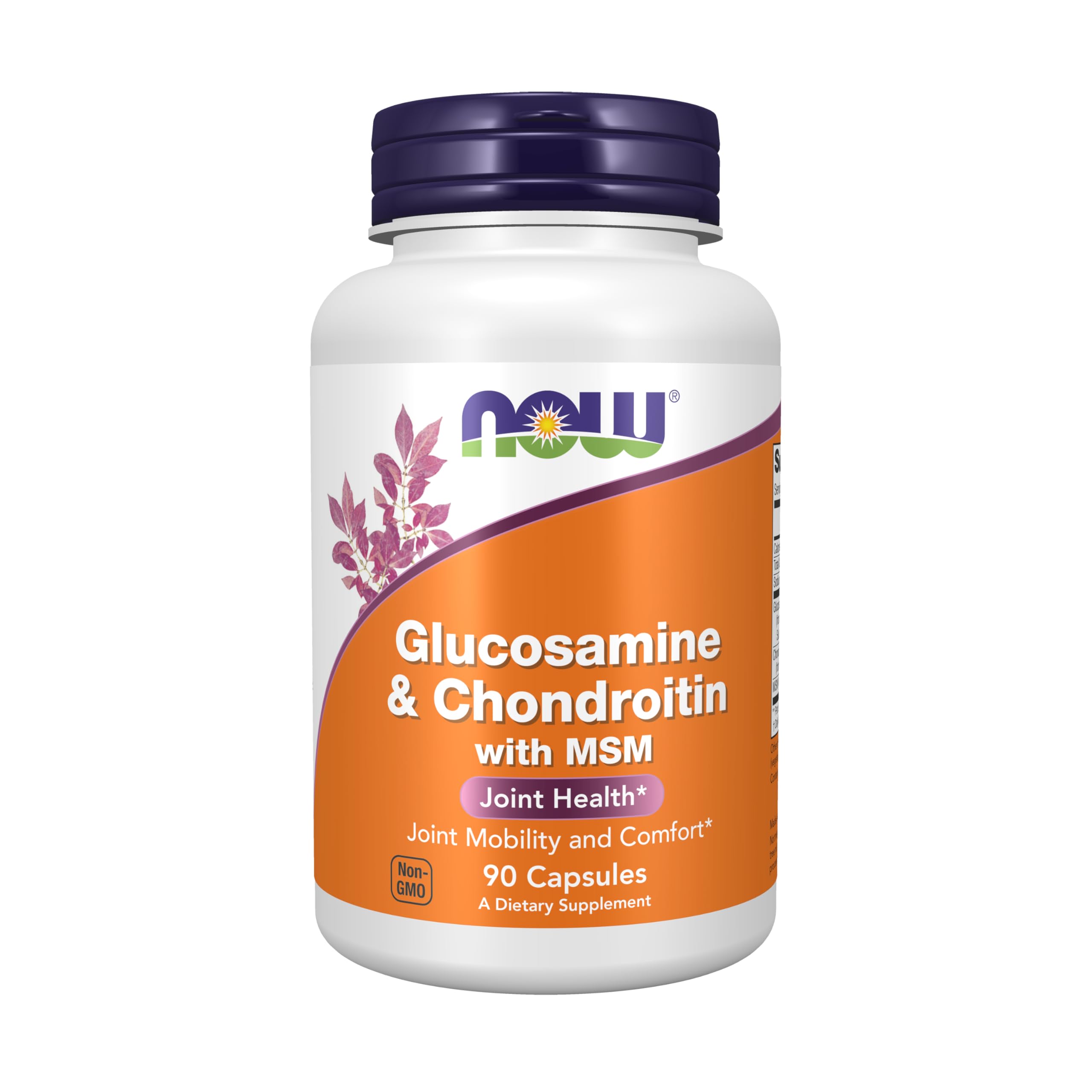 Glucosamine & Chondroitin With MSM
