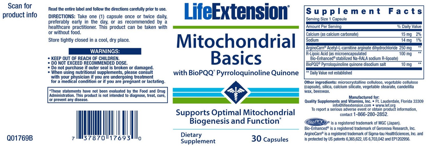 Mitochodrial Basics