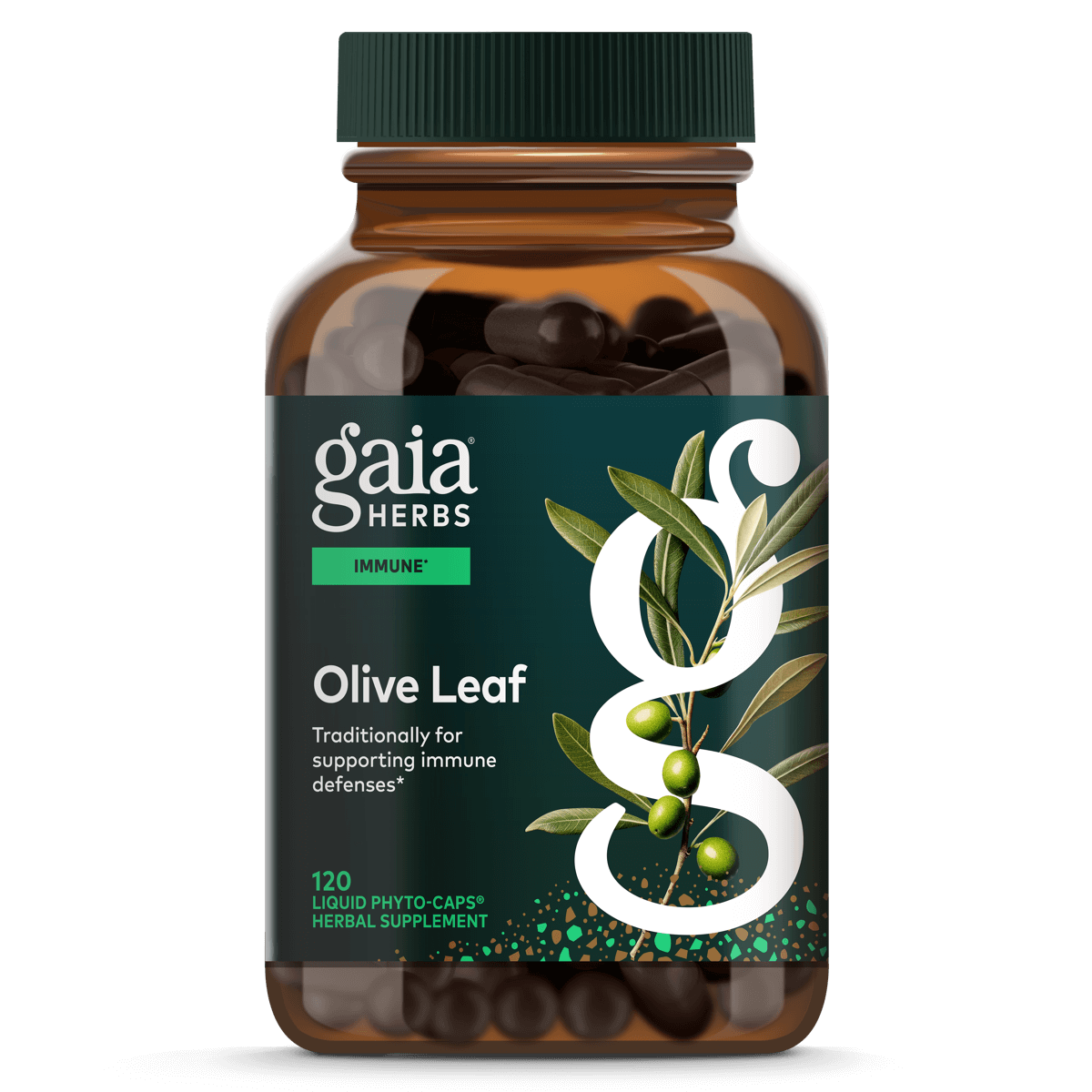 Olive Leaf