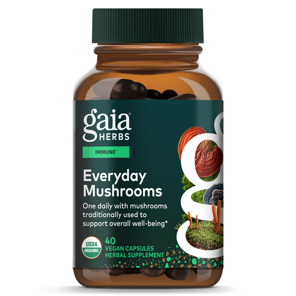 Everyday Mushrooms