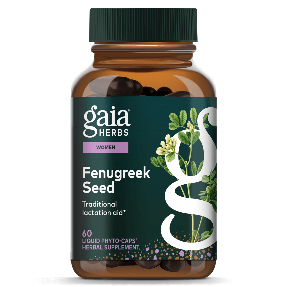 Fenugreek Seed