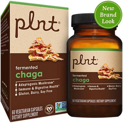 Fermented Chaga