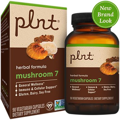 Mushroom 7
