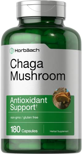 Chaga Mushroom
