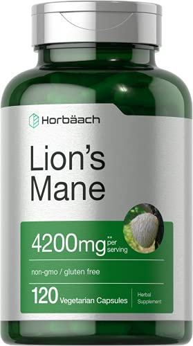Lions Mane Mushroom Extract